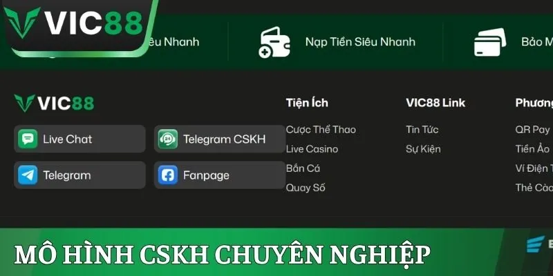 Mô hình CSKH chuyên nghiệp